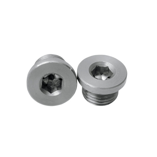 1202P - O2 Sensor Port Plugs